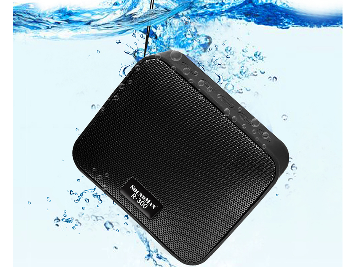 Loa di động SoundMax R-300