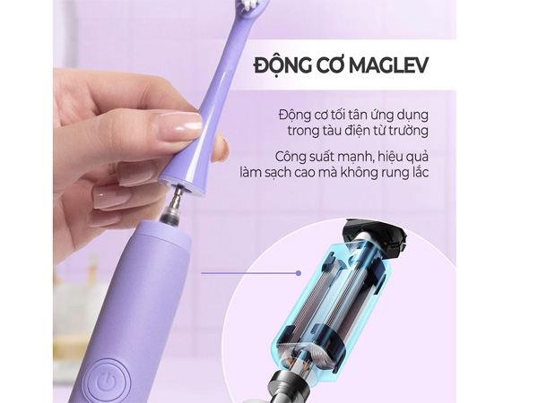 Bàn chải điện Halio Sonic Whitening Electric Toothbrush Periwinkle