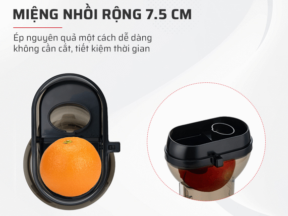 Máy ép chậm Saiko SJ-820 (200W)