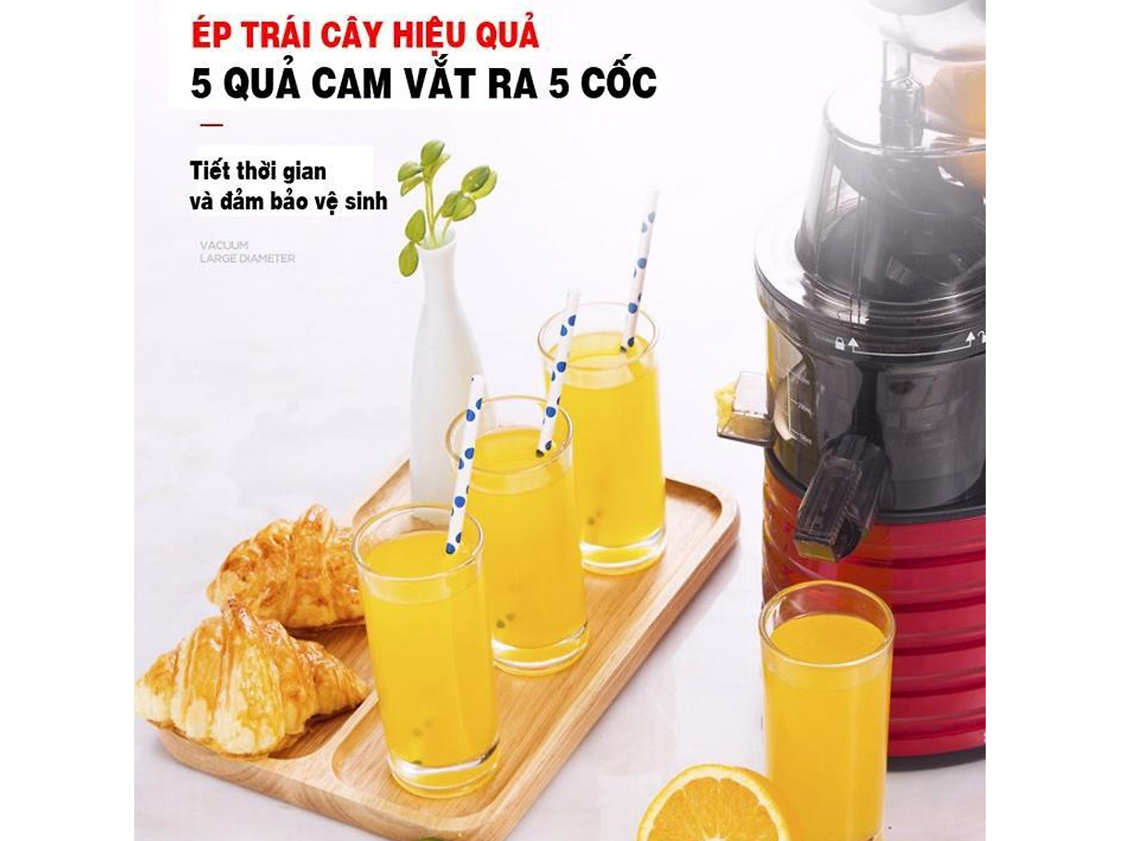 Máy ép chậm SATVM JE-31