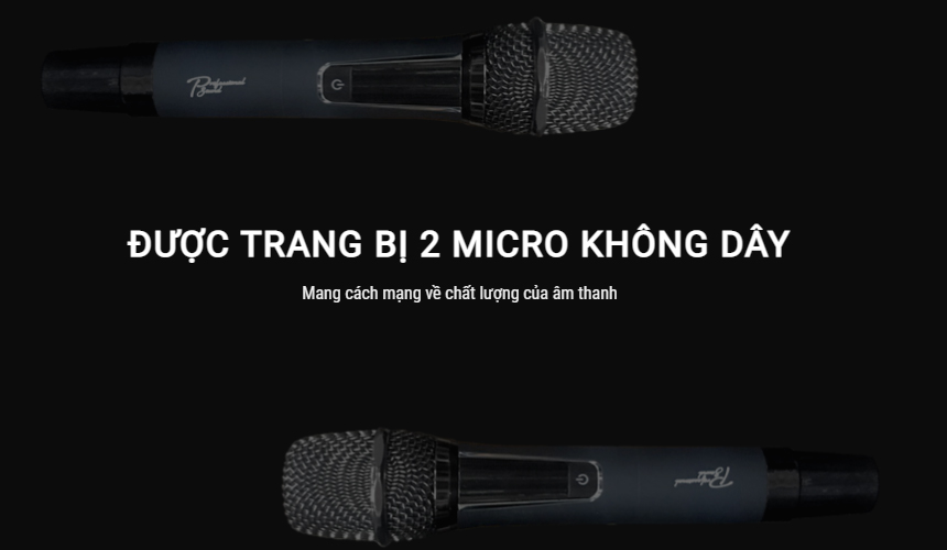 Loa karaoke không dây Prosing W215B