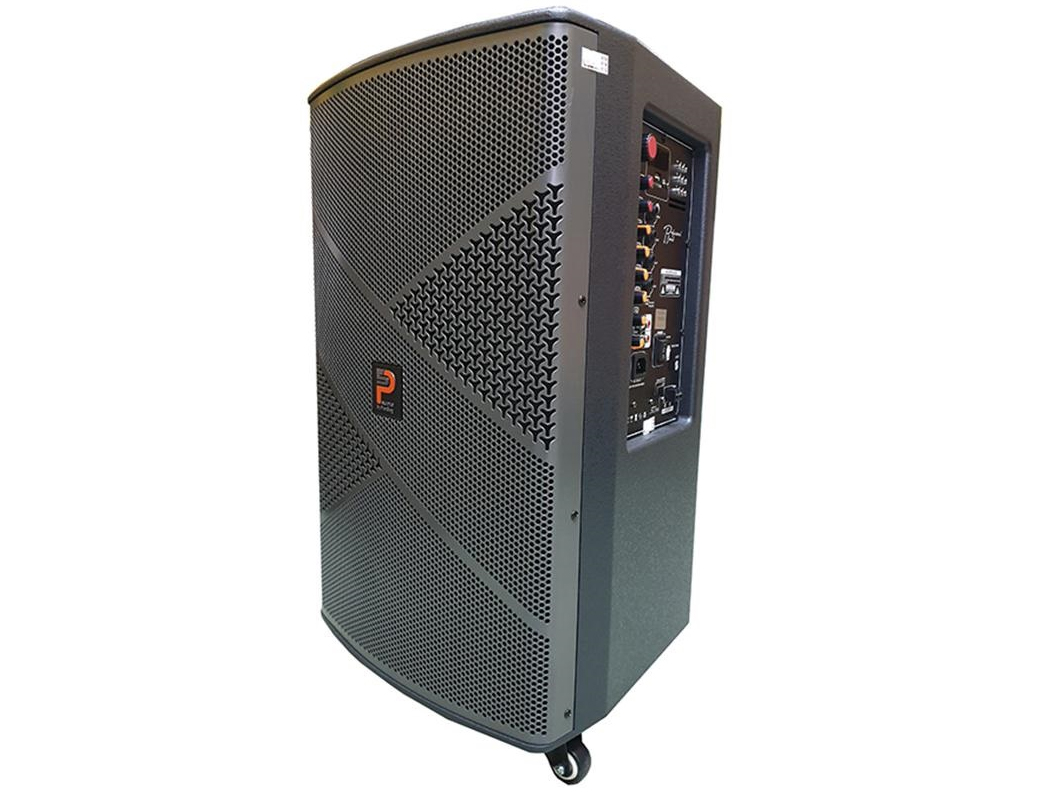 Loa kéo Prosing W12 Infinity