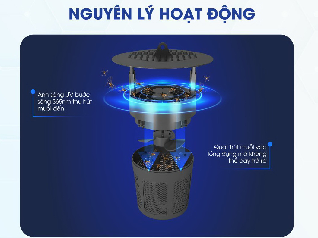 Đèn bắt muỗi Rạng Đông DBM01 5W