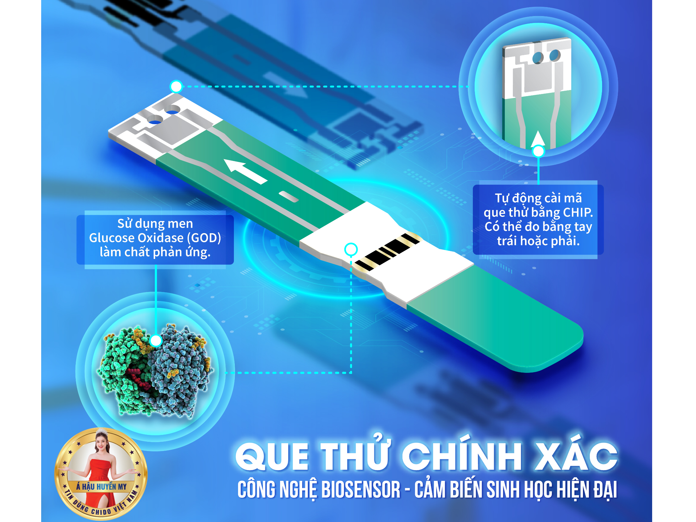 Hộp 50 que thử đường huyết Chido GLS-79 tặng kèm kim lấy máu