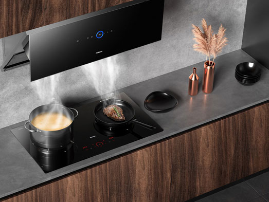 Bếp từ Robam Stove W2985