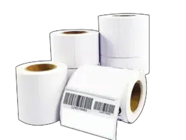 Máy in tem nhãn 2 in 1 Vlabel VLP1 BW - META.vn