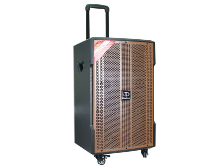 Loa kéo karaoke Dalton TS-12G380N