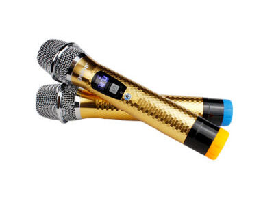 Loa Karaoke xách tay Dalton PS-K10A LUXURY