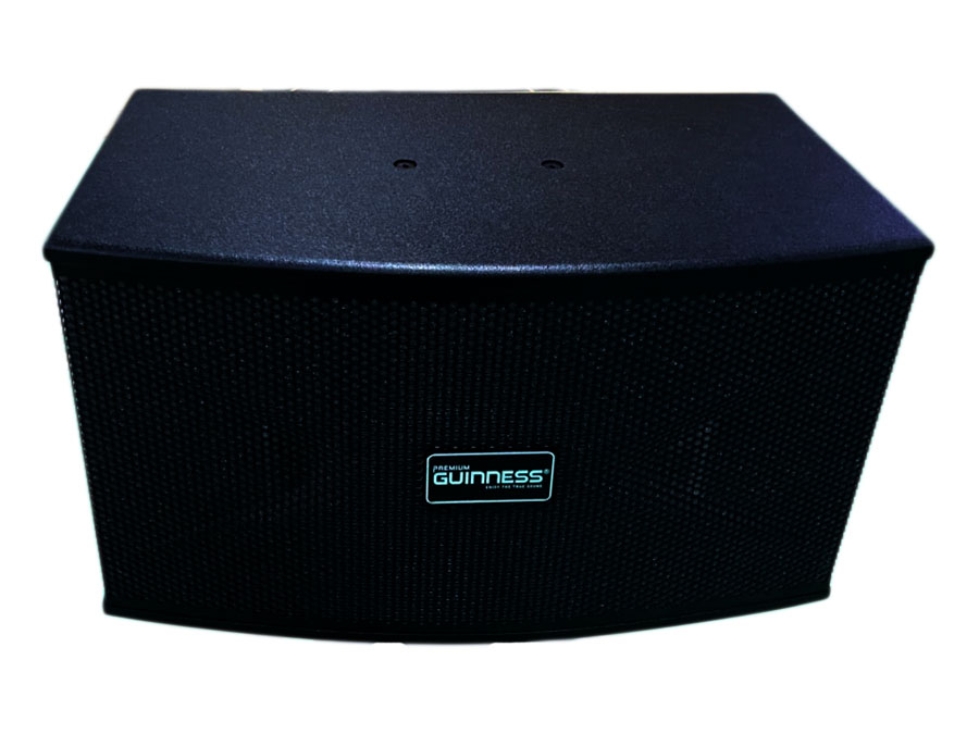 Loa Guinness KS-105G