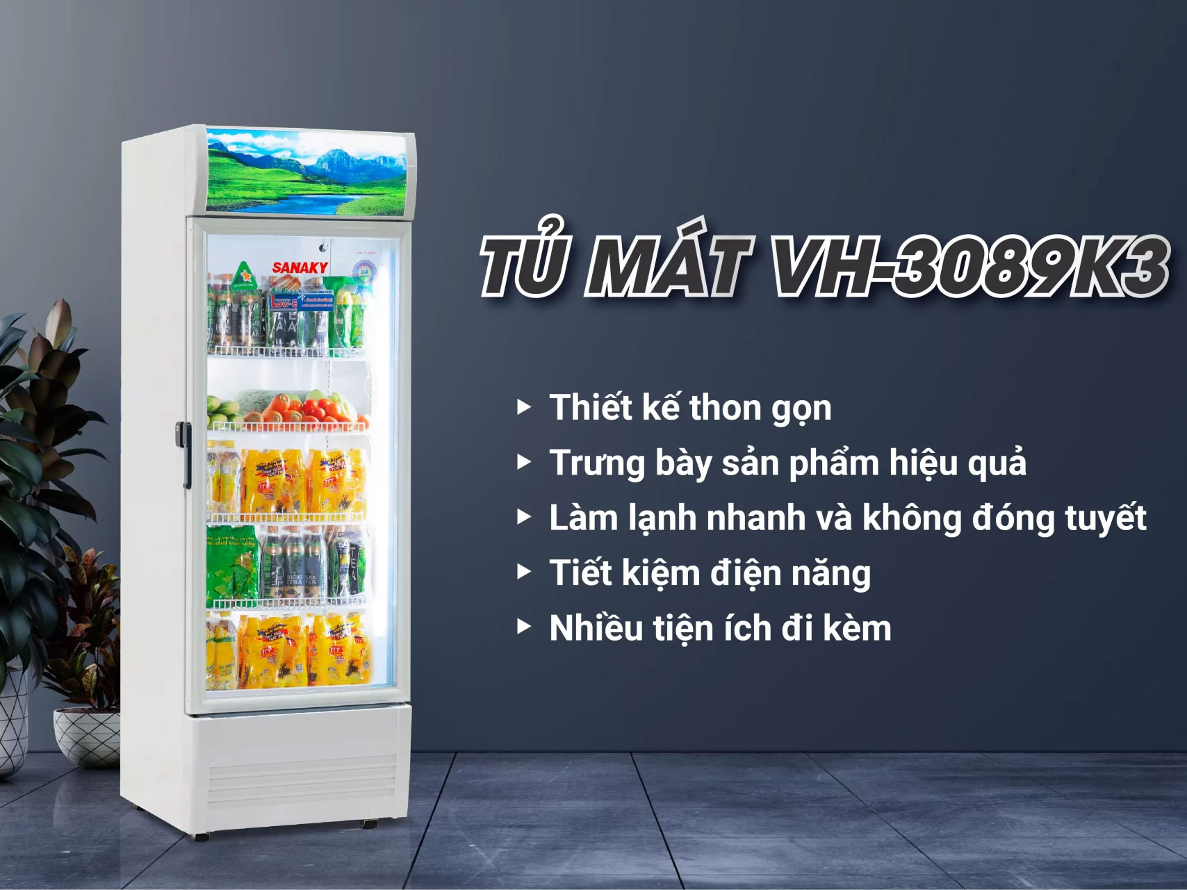 Tủ mát Sanaky Inverter 300 lít VH-3089K3