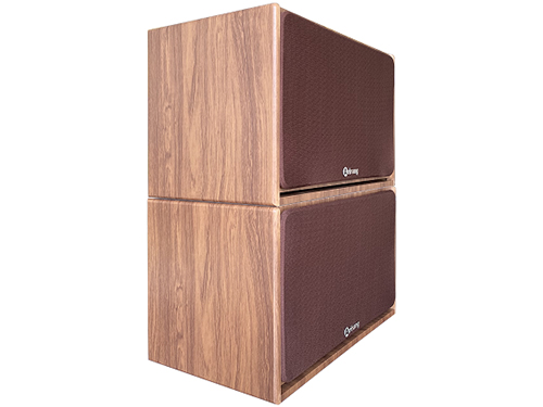 Loa Arirang Jant VIII