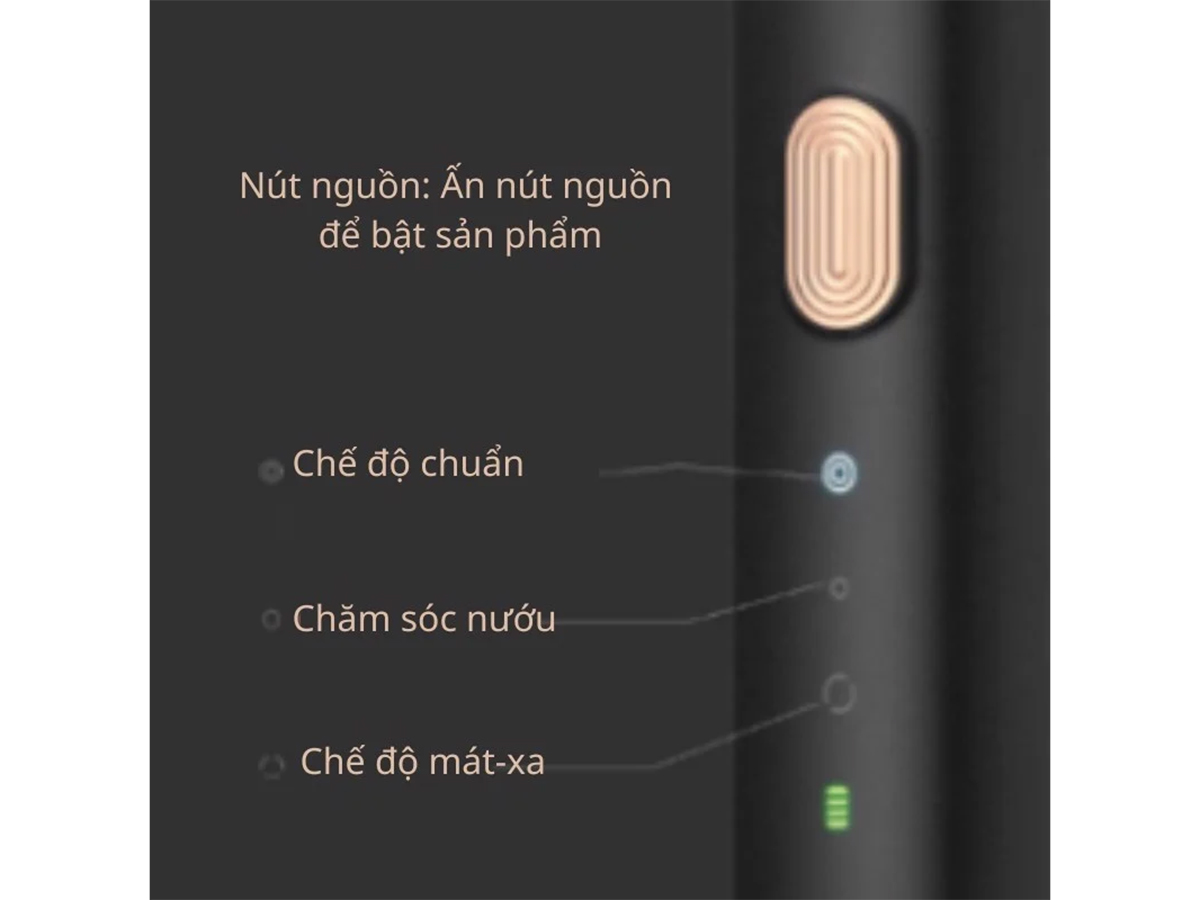 Bàn chải đánh răng điện Dr.Bei BY-V12