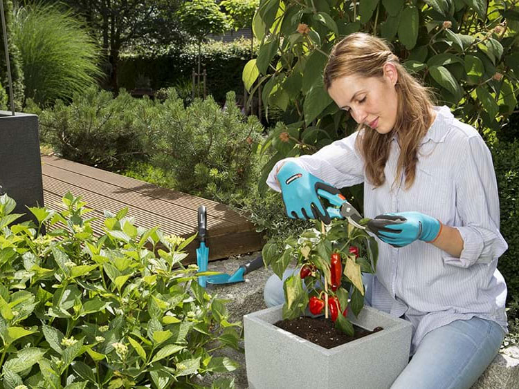 Găng tay làm vườn Gardena 00206-20 size 8/M