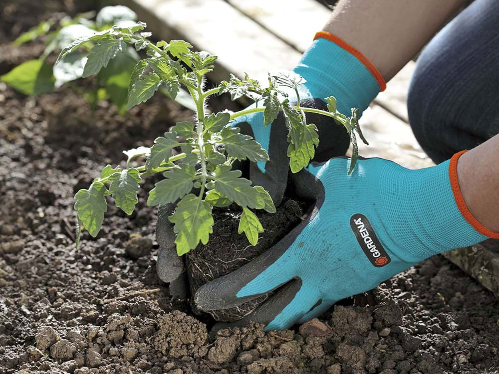 Găng tay làm vườn Gardena 00206-20 size 8/M