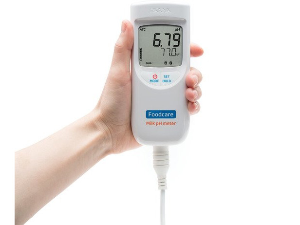 Máy đo pH, nhiệt độ trong thịt Hanna HI99163