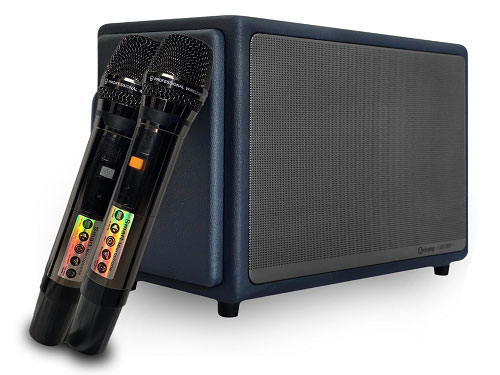 Loa karaoke di động Arirang Classic I (kèm micro)