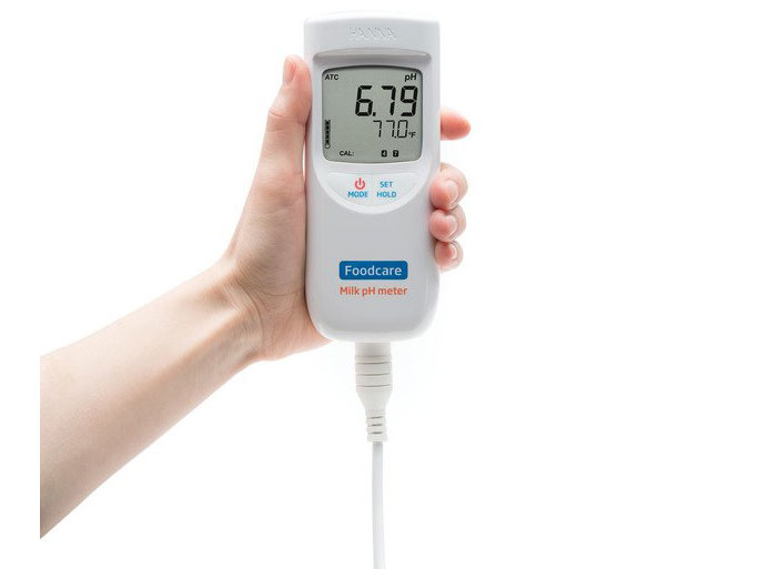 Máy đo pH, nhiệt độ trên bề mặt da người và da đầu Hanna HI99181