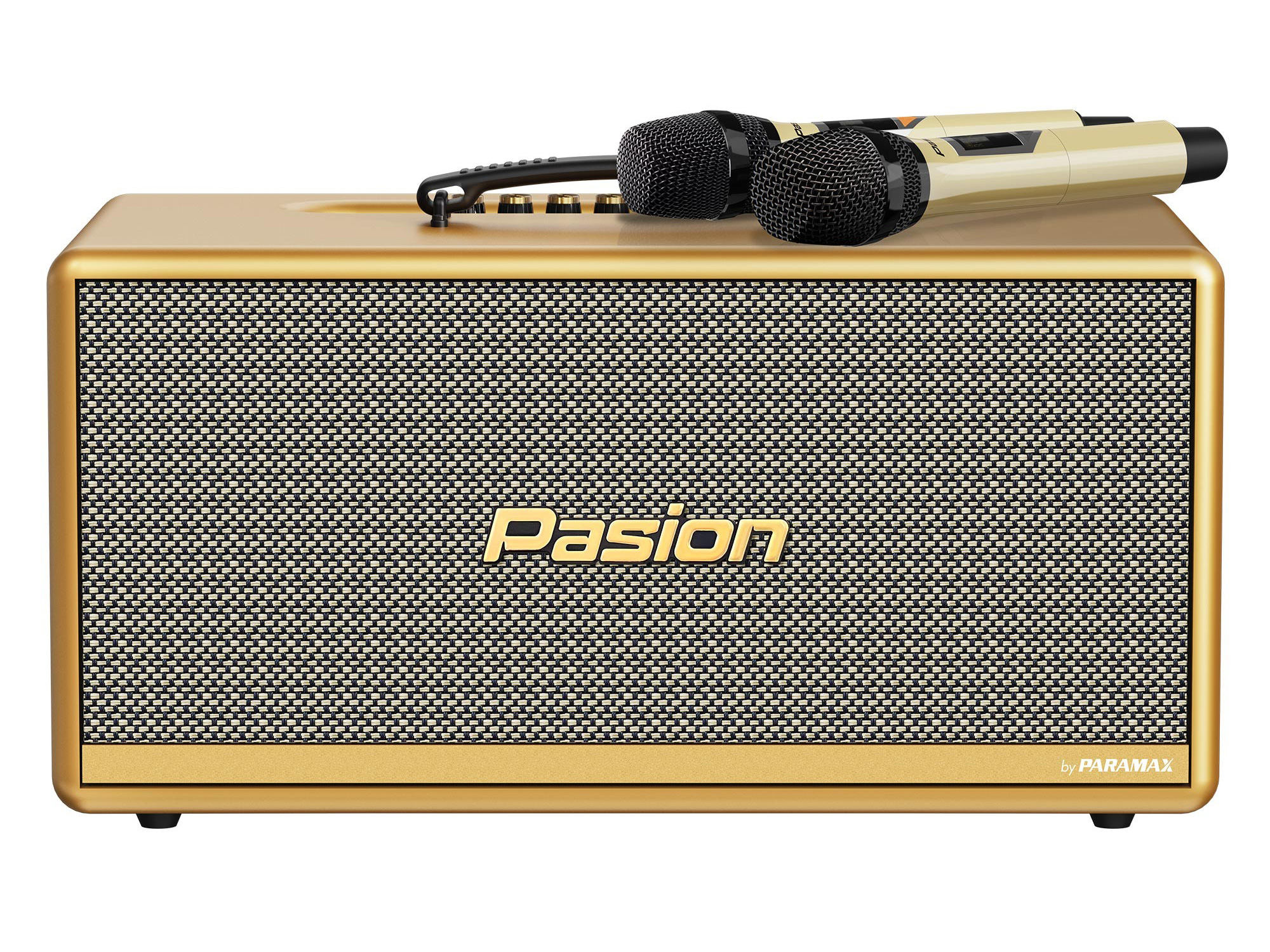 Loa di động Paramax Pasion 2C xách tay