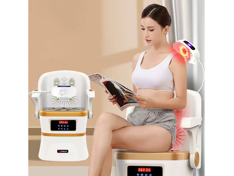 Máy xông ngải cứu Darlev (DLS301)