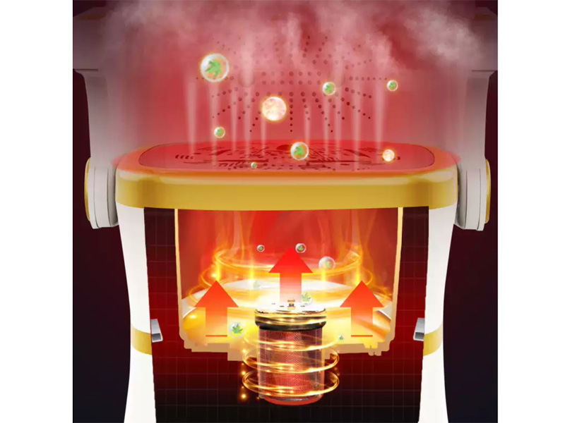 Máy xông ngải cứu Darlev (DLS301)