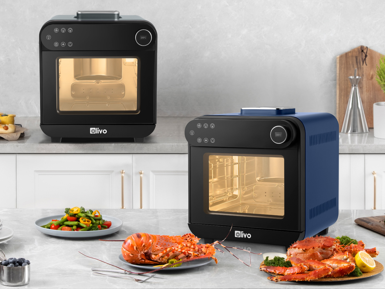 Nồi chiên hơi nước Olivo SF15