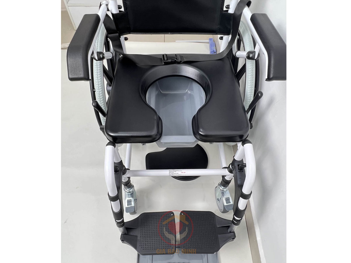 Xe lăn đa năng GBM-020