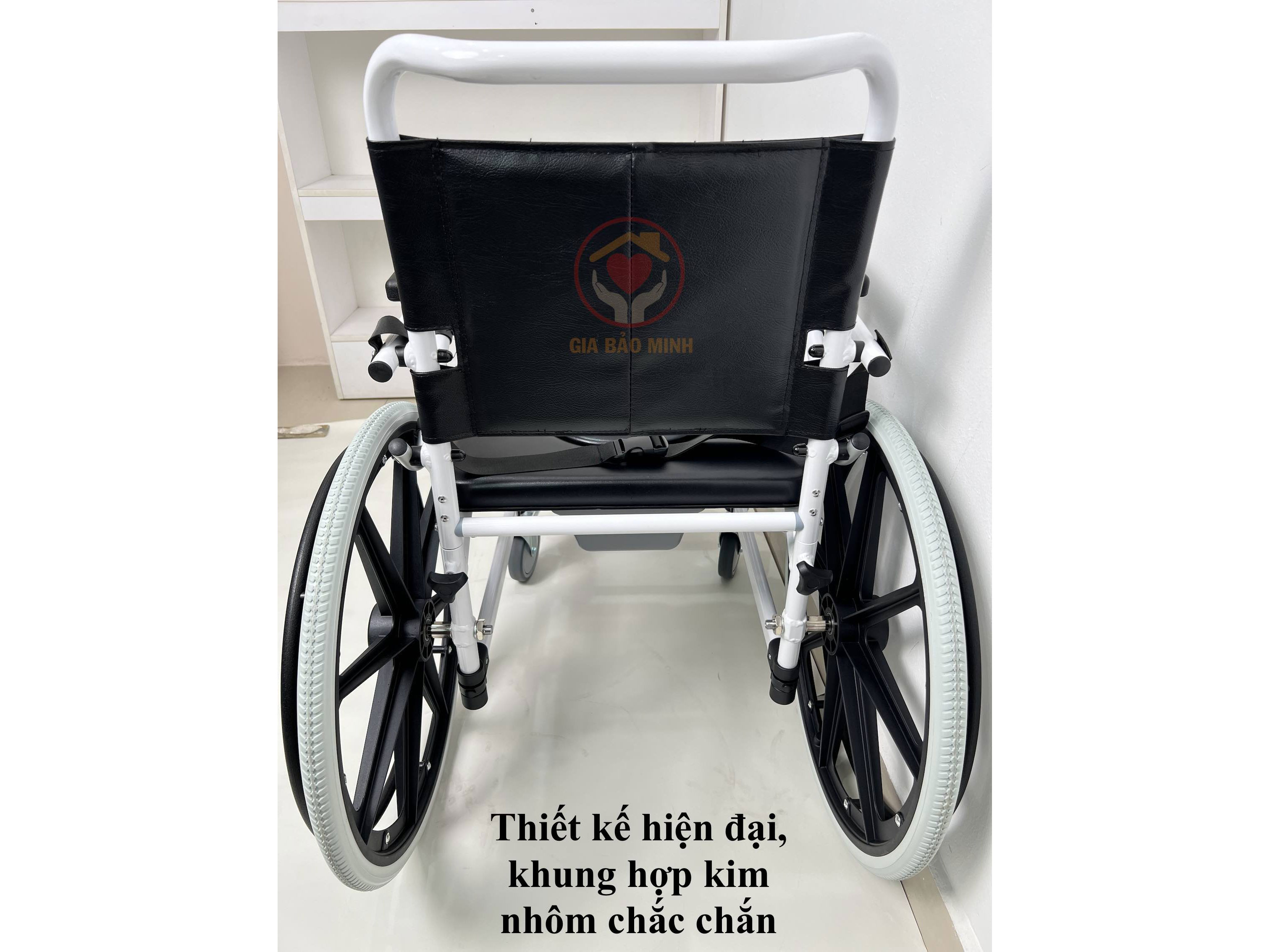 Xe lăn đa năng GBM-020