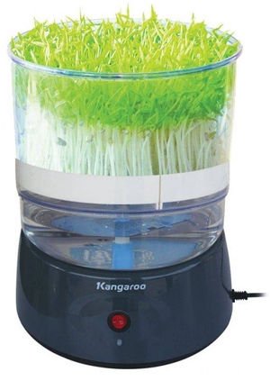 Máy làm rau mầm Kangaroo KG-261