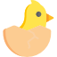 ✓