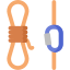 ✓