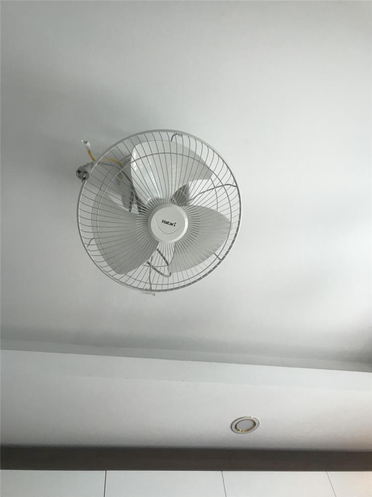 ✓
