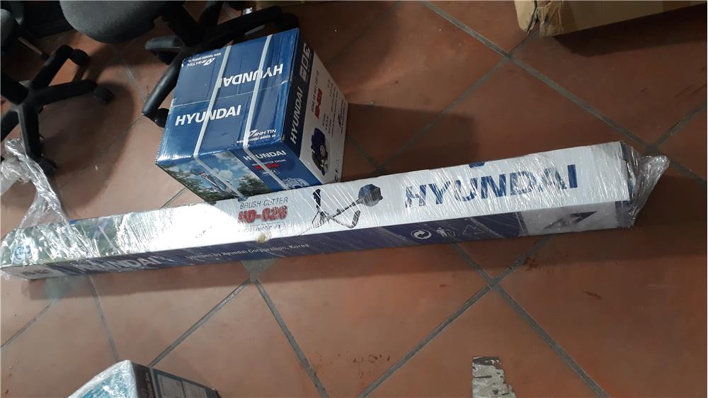 ✓