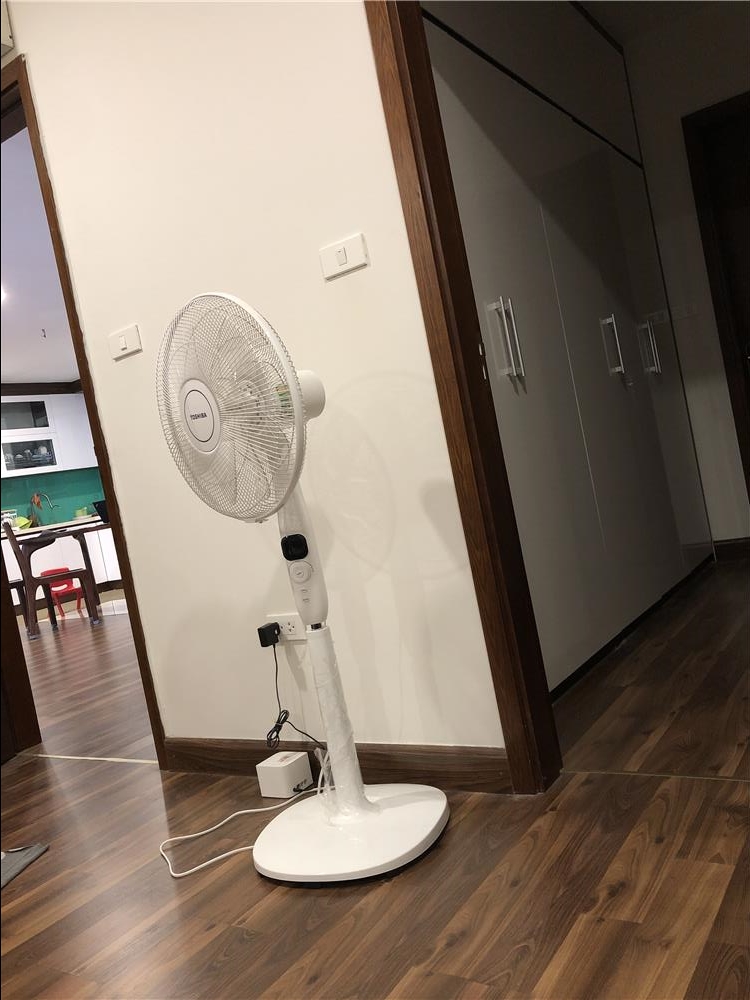 ✓