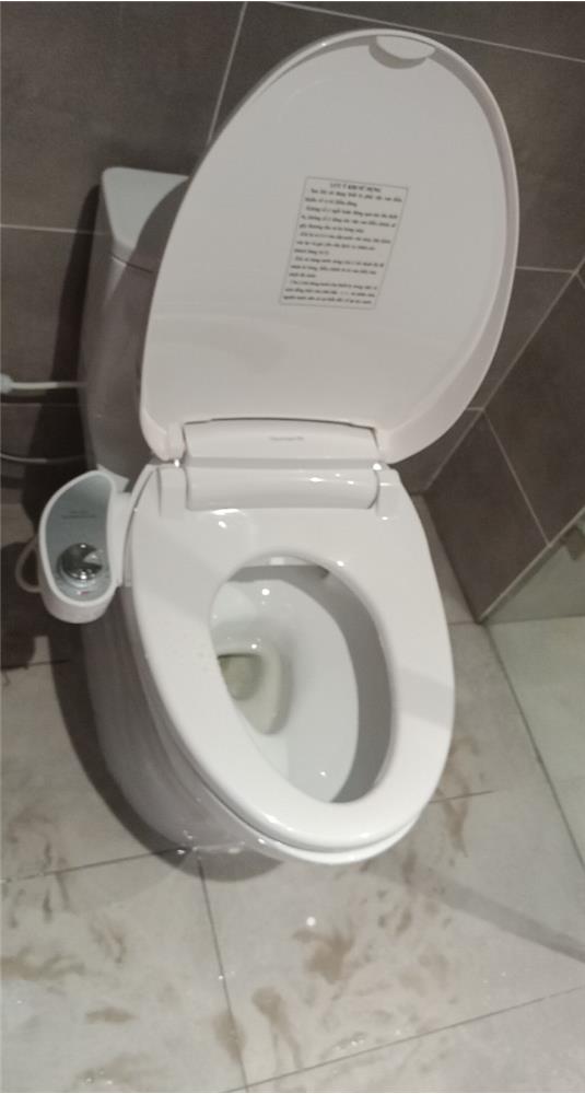 ✓