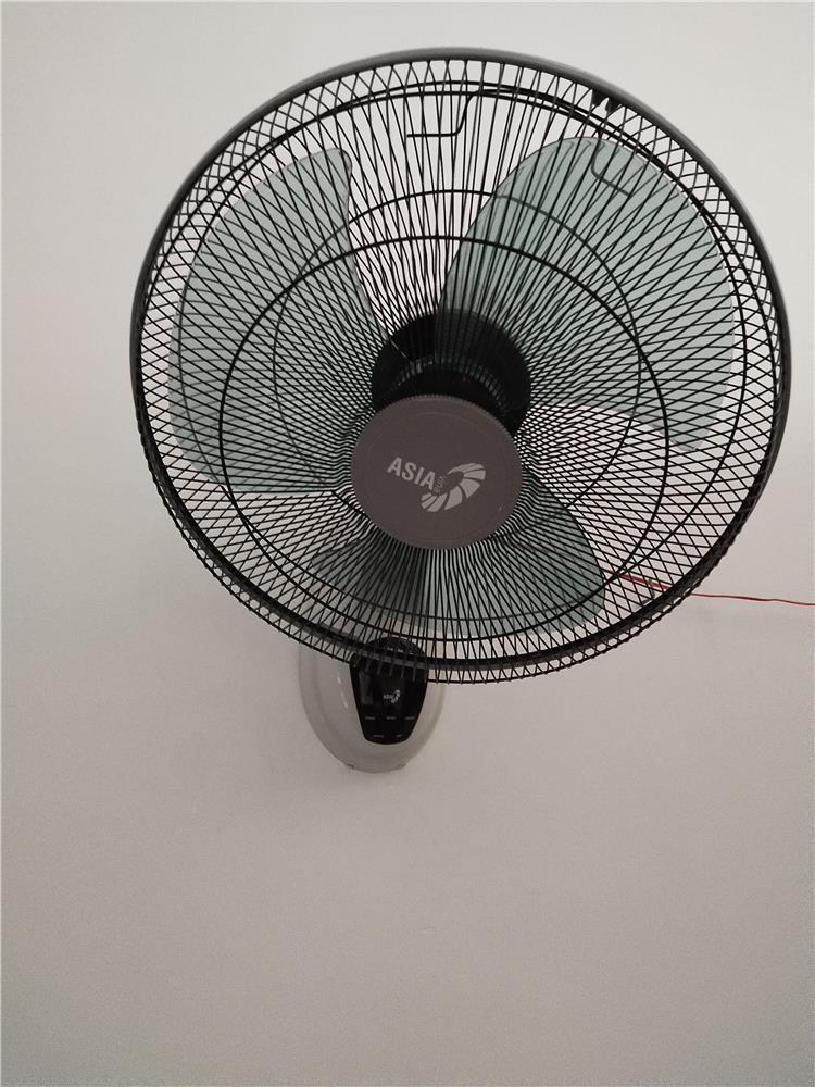 ✓