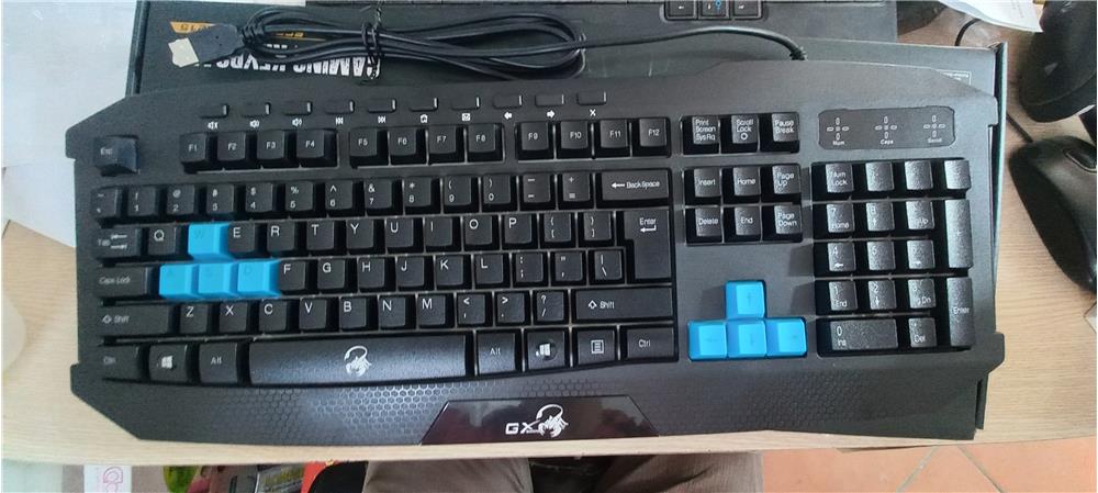 ✓