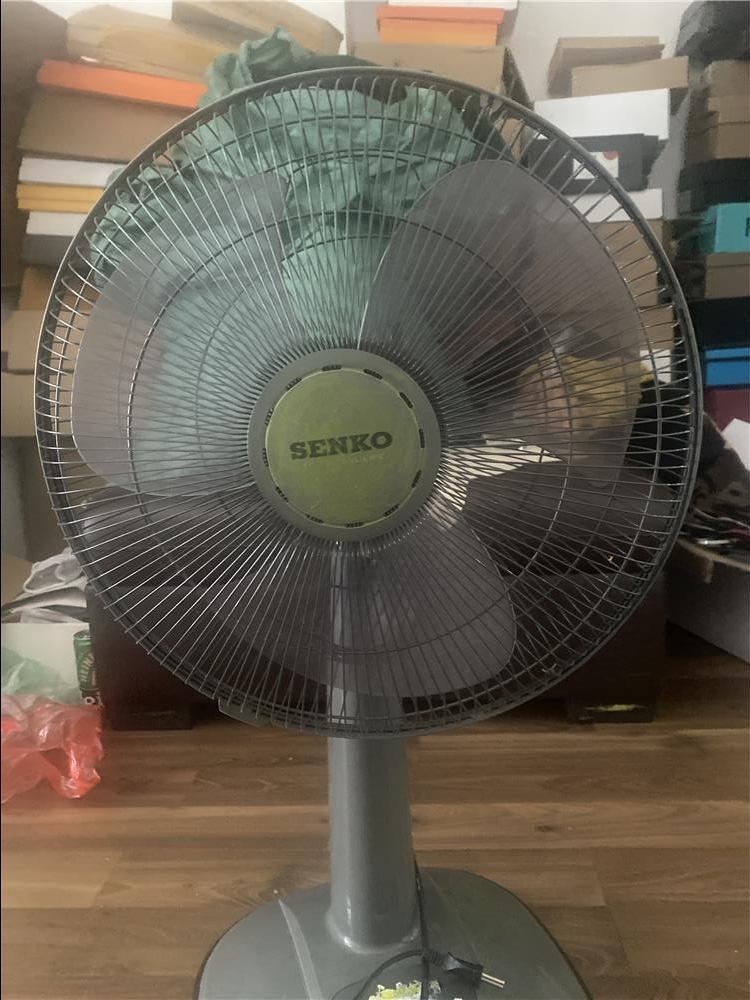 ✓