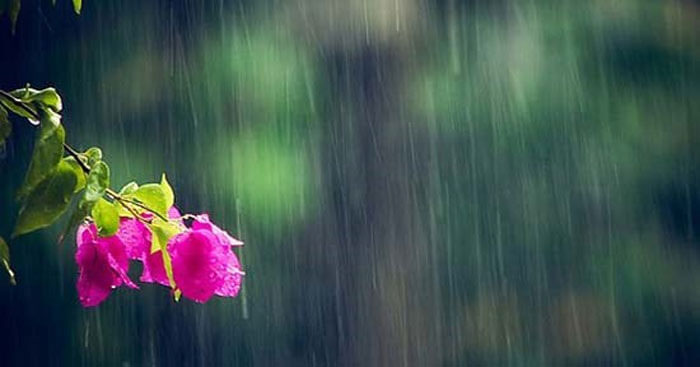 bài hát hay về mưa