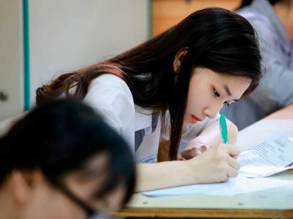 C14 gồm ngành nào