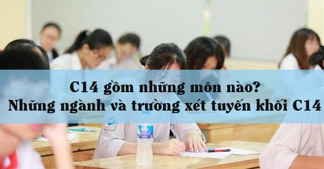 C14 gồm những môn nào